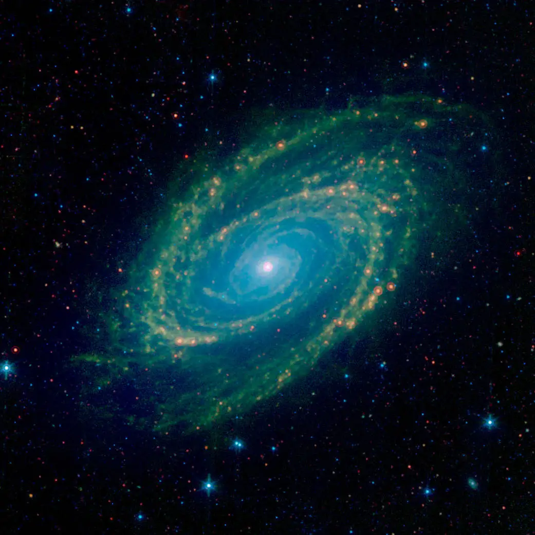Astrophotography of spiral galaxy M81.